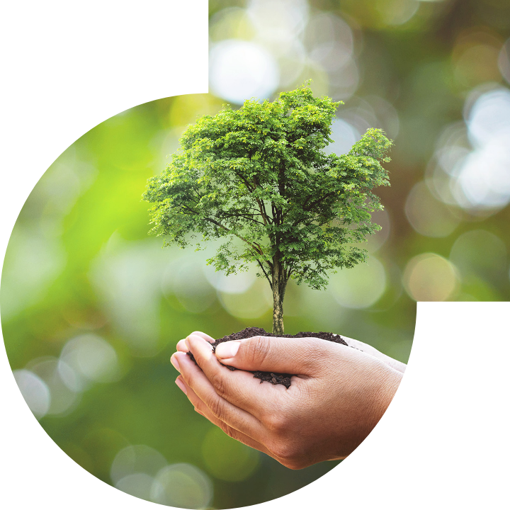 關懷人類、文化、環境與社會